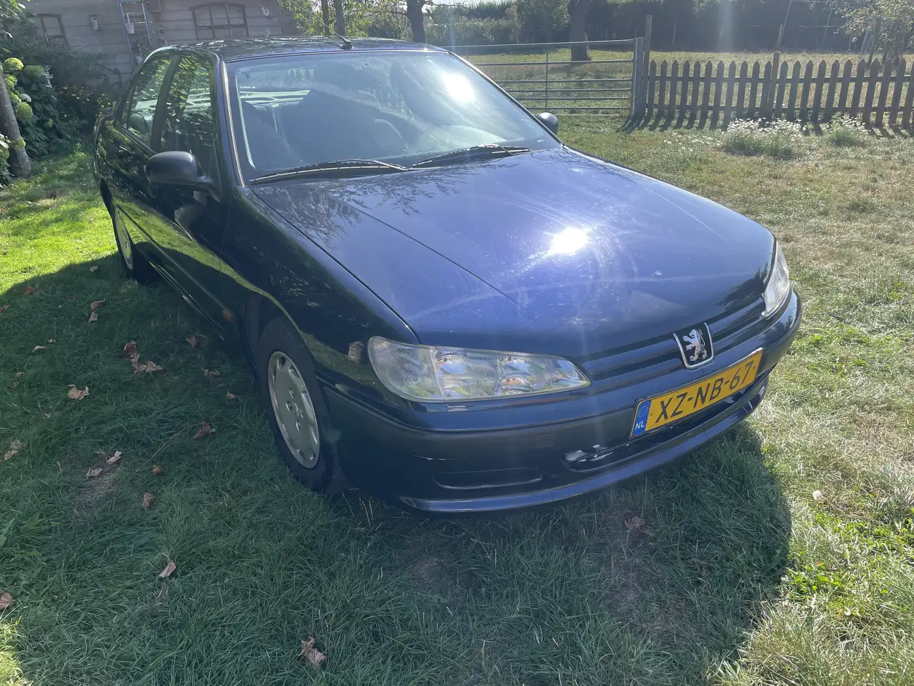 Peugeot 406 1.8-16V SR, foto 8