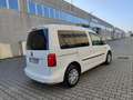Volkswagen Caddy 2.0 TDI 5 posti Autocarro N1 Weiß - thumbnail 4