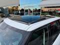 Land Rover Range Rover Sport 3.0 TDV6 S *TETTO*TAGLIANDATO* Bianco - thumbnail 6