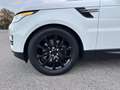 Land Rover Range Rover Sport 3.0 TDV6 S *TETTO*TAGLIANDATO* Bianco - thumbnail 25
