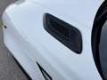 Land Rover Range Rover Sport 3.0 TDV6 S *TETTO*TAGLIANDATO* Bianco - thumbnail 21