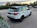 Land Rover Range Rover Sport 3.0 TDV6 S *TETTO*TAGLIANDATO* Bianco - thumbnail 4
