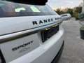 Land Rover Range Rover Sport 3.0 TDV6 S *TETTO*TAGLIANDATO* Bianco - thumbnail 18