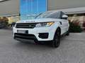 Land Rover Range Rover Sport 3.0 TDV6 S *TETTO*TAGLIANDATO* Bianco - thumbnail 24