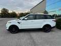 Land Rover Range Rover Sport 3.0 TDV6 S *TETTO*TAGLIANDATO* Bianco - thumbnail 22