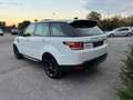 Land Rover Range Rover Sport 3.0 TDV6 S *TETTO*TAGLIANDATO* Bianco - thumbnail 5