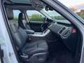 Land Rover Range Rover Sport 3.0 TDV6 S *TETTO*TAGLIANDATO* Bianco - thumbnail 13