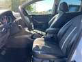 Ford Kuga 2010 * 2.0 TDCi Titanium * AUTOMAAT * APK * Wit - thumbnail 9