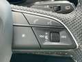 Audi Q7 55 TFSI e quattro S-line*Matrix*Head-Up*360°* Weiß - thumbnail 32