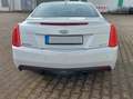 Cadillac ATS 2.0 Turbo AWD Automatik Premium Білий - thumbnail 4