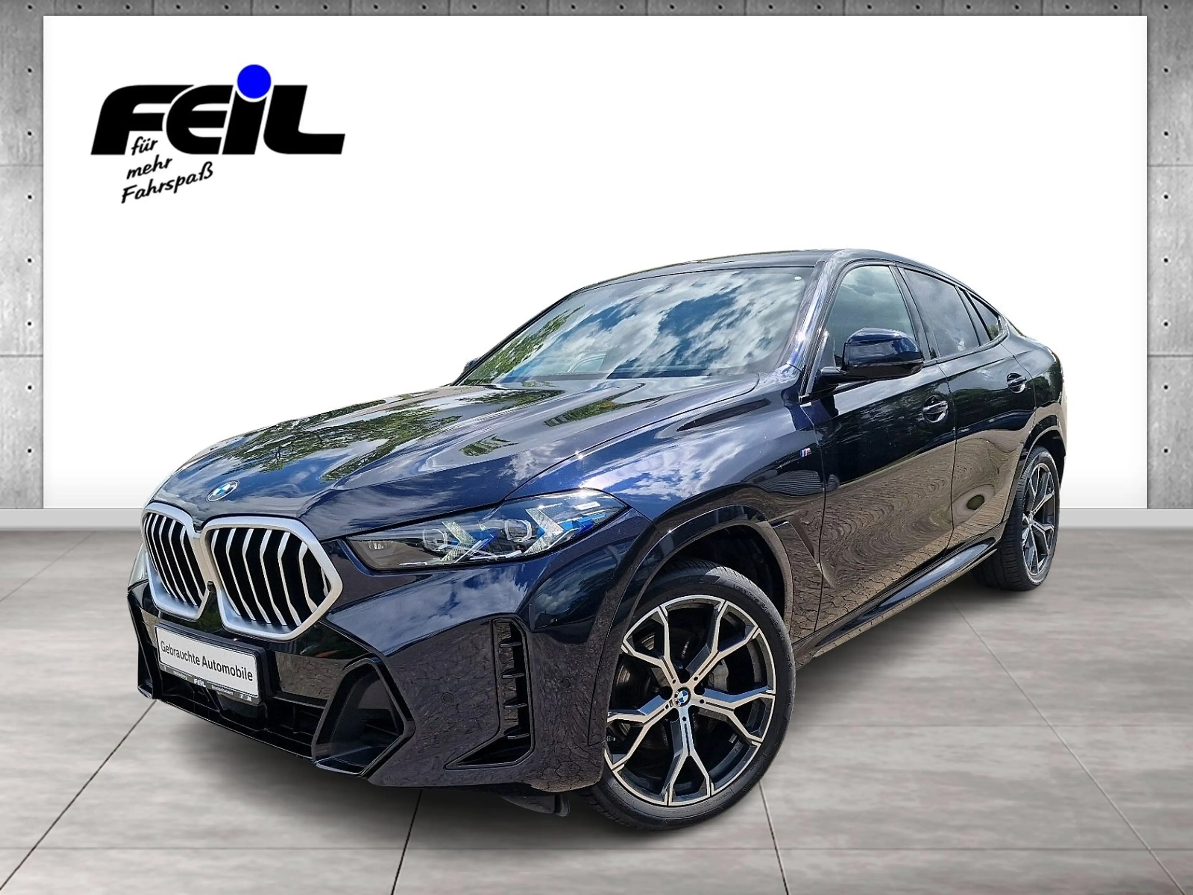 BMW X6 xDrive40d HK HiFi DAB