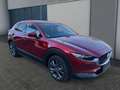 Mazda CX-30 SKYACTIV-X 2.0 M HYBRID AL-SELECTION A18-B DES-P P Rot - thumbnail 6