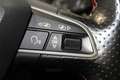 SEAT Alhambra 2.0 TDI FR Business Intense Rood - thumbnail 26