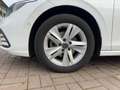 Volkswagen Golf VIII 1.5 eTSI DSG Life Navi LED SHZ PDC Weiß - thumbnail 12