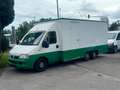 Fiat Ducato DUCATO VERKAUFSWAGEN BORCO-HÖHNS, KÜHLTHEKE 3,5m Blanco - thumbnail 3