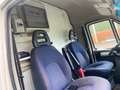 Fiat Ducato DUCATO VERKAUFSWAGEN BORCO-HÖHNS, KÜHLTHEKE 3,5m Blanco - thumbnail 12