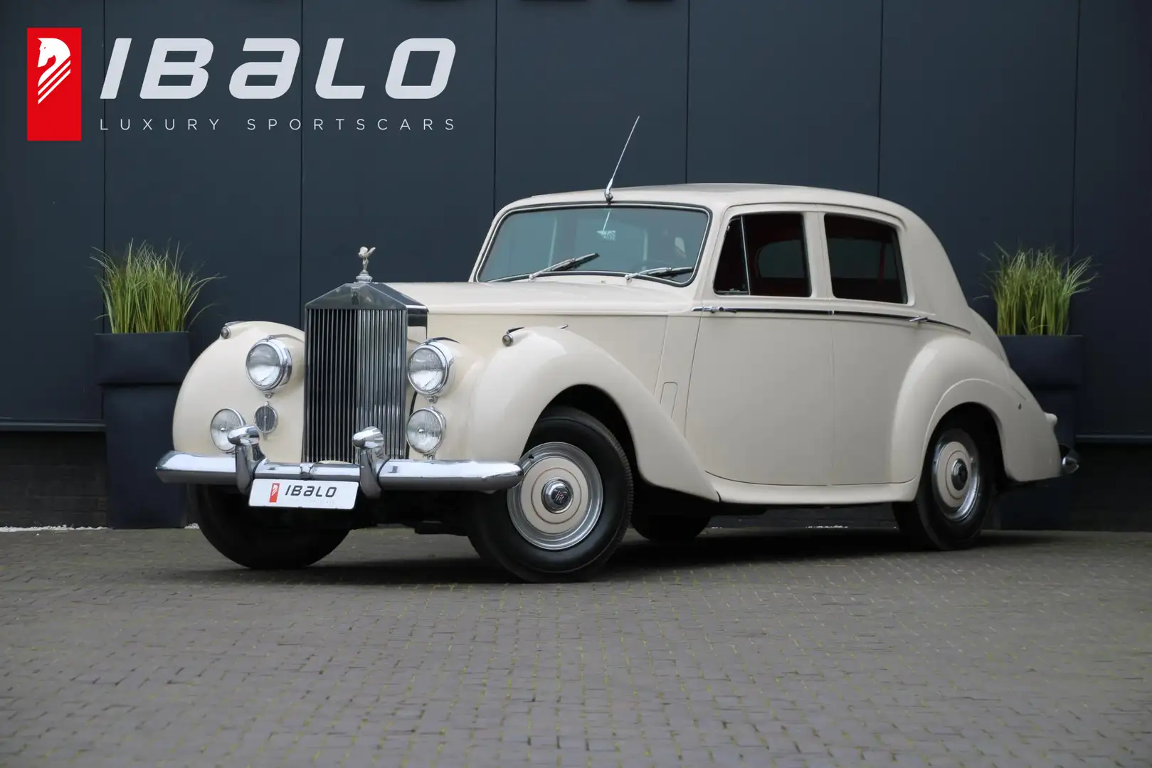 Rolls-Royce Silver Dawn 4.6 6-cilinder | 1953 | Automaat | Slechts 7.951km Biały - 1