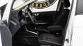 Ford EcoSport UNIPRO *PREZZO REALE* Bianco - thumbnail 29