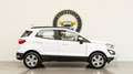 Ford EcoSport UNIPRO *PREZZO REALE* Bianco - thumbnail 6