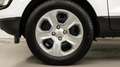 Ford EcoSport UNIPRO *PREZZO REALE* Bianco - thumbnail 9
