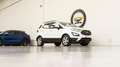 Ford EcoSport UNIPRO *PREZZO REALE* Bianco - thumbnail 30