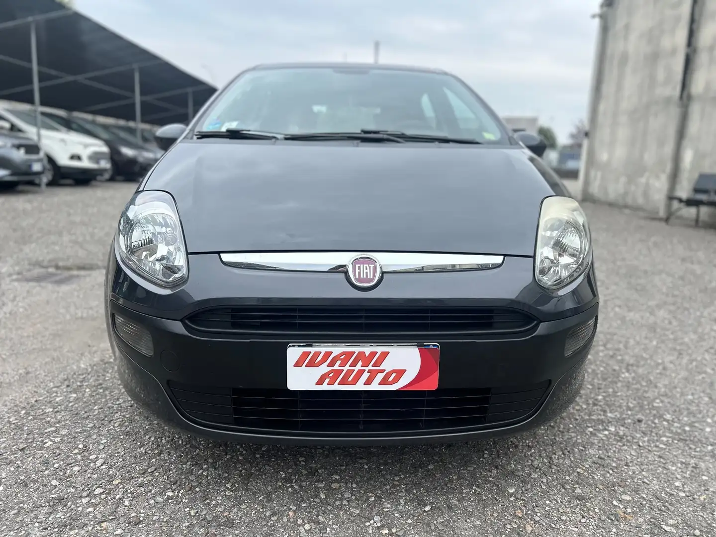 Fiat Punto Punto 1.2 8V 5 porte Lounge Gris - 2