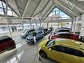 Volkswagen T-Roc Style 1.5 TSI, AHK, ACC, Blanc - thumbnail 15