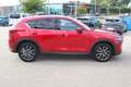 Mazda CX-5 CD184 AWD Revolution Aut. Rot - thumbnail 4