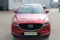 Mazda CX-5 CD184 AWD Revolution Aut. Rot - thumbnail 2