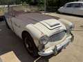 Austin-Healey 3000 BN4 - thumbnail 1