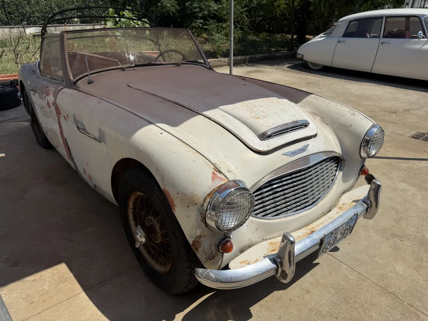 Austin-Healey 3000 BN4 - 1