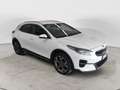 Kia XCeed 1.6 CRDi 136 CV MHEV iMT Business Class Weiß - thumbnail 1