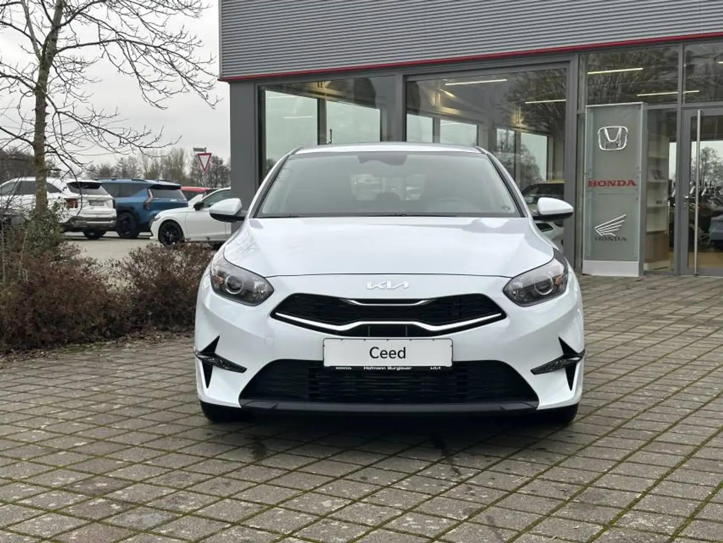 Kia Ceed / cee'd Vision Bianco - 2