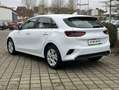 Kia Ceed / cee'd Vision Bianco - thumbnail 5