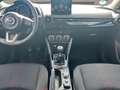 Mazda 2 HOMURA 90 PS 6GS 8-FACH BEREIFT Weiß - thumbnail 14