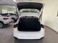 Fiat Tipo 1.5 Hybrid DCT 5 porte City Life CON PROMO PLUS Bianco - thumbnail 8