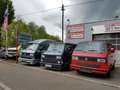 Volkswagen T1 VW T1 Fensterbus Warzenblinker Oldtimer Deutsch Grün - thumbnail 7