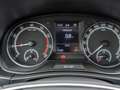 Skoda Fabia Combi 1.0 TSI Best of LED, Navi, PDC Silber - thumbnail 14