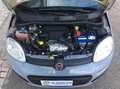 Fiat Panda III 1.3 MJT 16v Easy COSEGNA IMMEDIATA -MINI RATA! - thumbnail 8