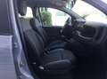 Fiat Panda III 1.3 MJT 16v Easy COSEGNA IMMEDIATA -MINI RATA! - thumbnail 2