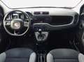 Fiat Panda III 1.3 MJT 16v Easy COSEGNA IMMEDIATA -MINI RATA! - thumbnail 6