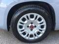 Fiat Panda III 1.3 MJT 16v Easy COSEGNA IMMEDIATA -MINI RATA! - thumbnail 9