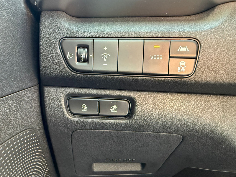 Kia e-Niro DynamicPlusLine 64 kWh | Adapt Cruise | Schuif/kan — photo 8