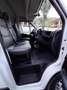 Fiat Ducato 2.2 m-jet PASSO LUNGO TETTO ALTO AL NETTO DELL'IVA Wit - thumbnail 20