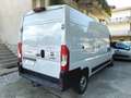 Fiat Ducato 2.2 m-jet PASSO LUNGO & TETTO ALTO MODELLO 2022 Bianco - thumbnail 3