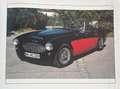 Austin-Healey 100 100/6 Schwarz - thumbnail 10