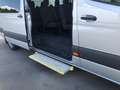 Mercedes-Benz Sprinter 317 CDI Tourer L3H2 AHK*StandHz*SitzHz* Silber - thumbnail 20
