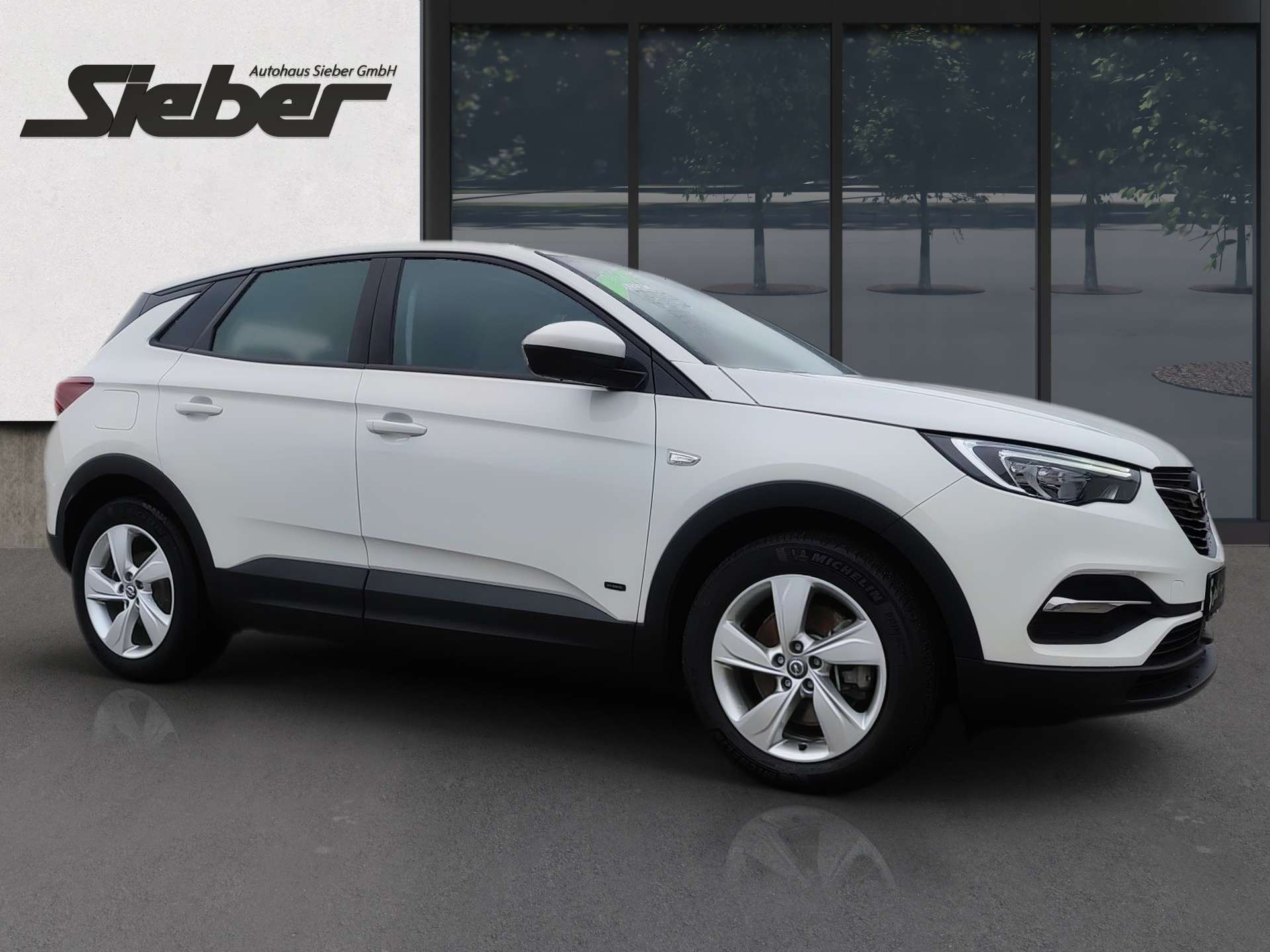 Opel Grandland X