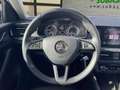 Skoda Scala 1.0 TGI 66 KW (90 CV) Ambition Blanco - thumbnail 23