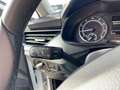 Skoda Scala 1.0 TGI 66 KW (90 CV) Ambition Blanco - thumbnail 30